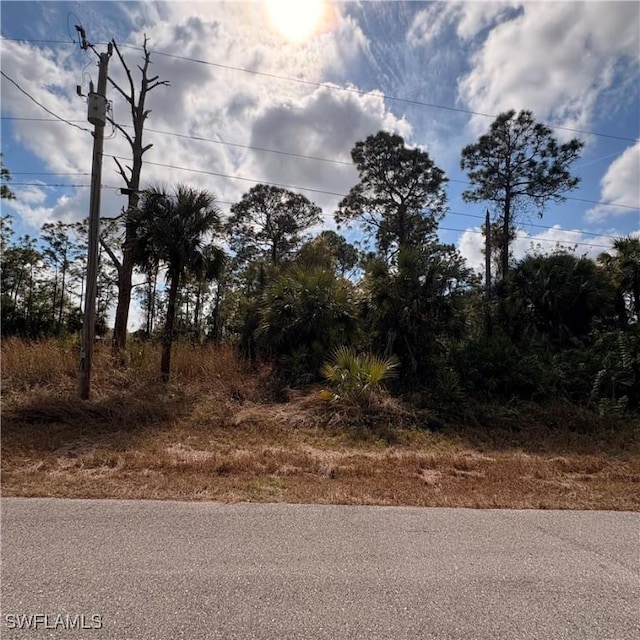 1242 Creary St E, Lehigh Acres FL, 33974 land for sale