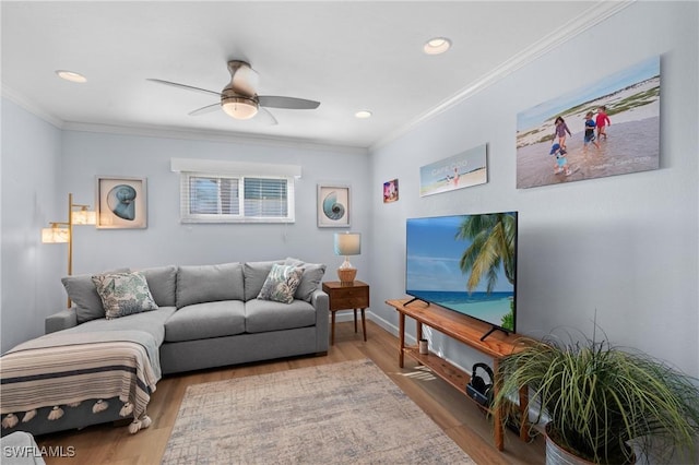 living room with ornamental molding, ceiling fan, and light wood-type flooring