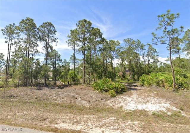 617 Allison St E, Lehigh Acres FL, 33974 land for sale