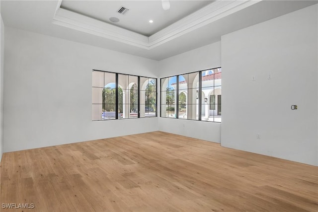 spare room with a raised ceiling and light hardwood / wood-style floors