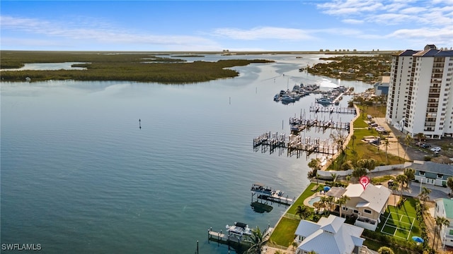 bird's eye view featuring a water view