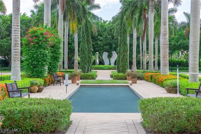 view of swimming pool