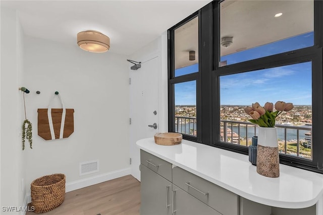 bathroom featuring hardwood / wood-style flooring, vanity, and a water view