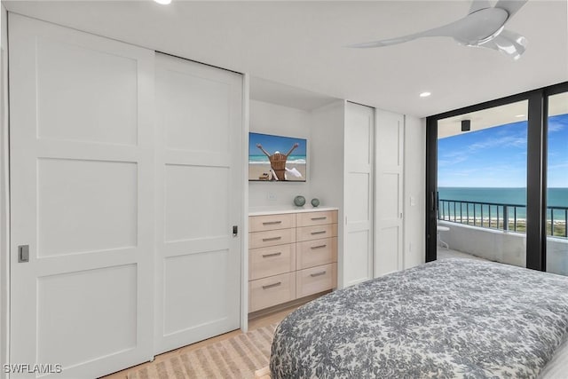 bedroom featuring expansive windows, access to exterior, light hardwood / wood-style floors, and two closets