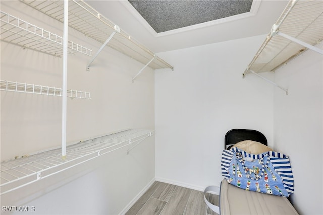 spacious closet featuring wood finished floors