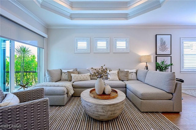 living room with ornamental molding, a tray ceiling, and wood-type flooring