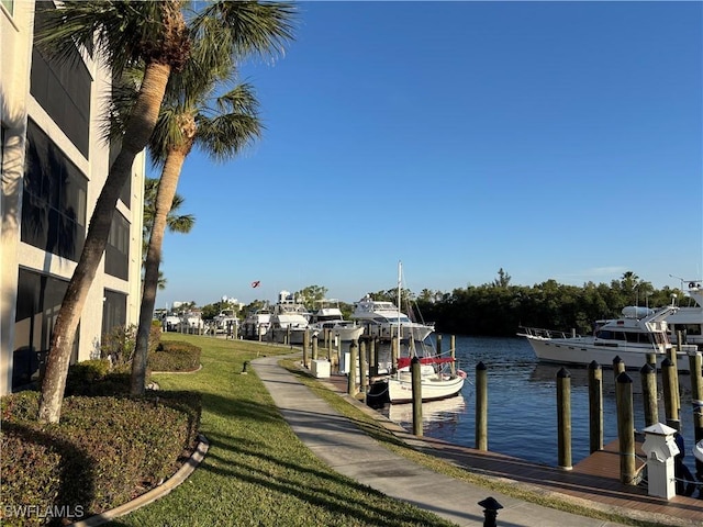 dock area with a water view