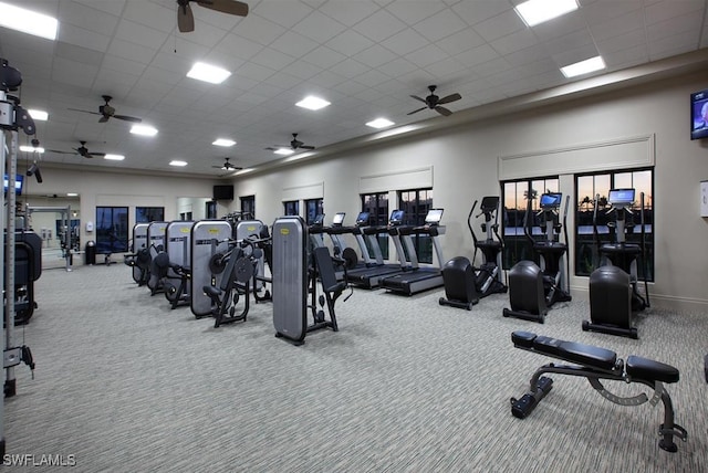 exercise room featuring a paneled ceiling and carpet floors