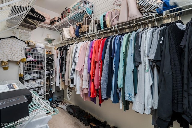 walk in closet with carpet floors