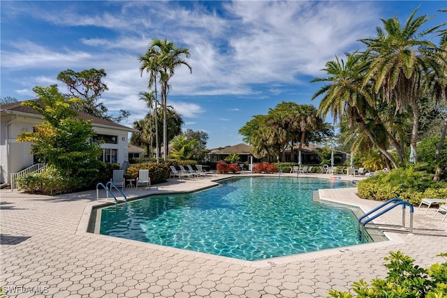 view of swimming pool featuring a patio