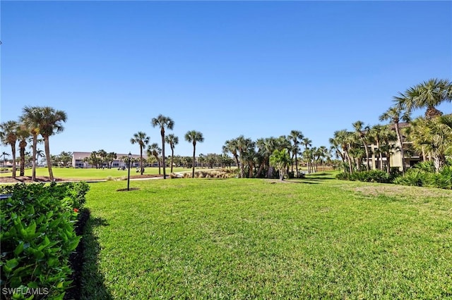 view of home's community featuring a yard