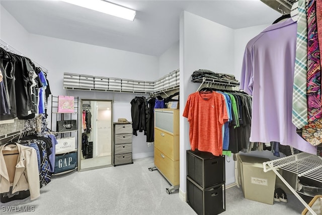 spacious closet with light colored carpet