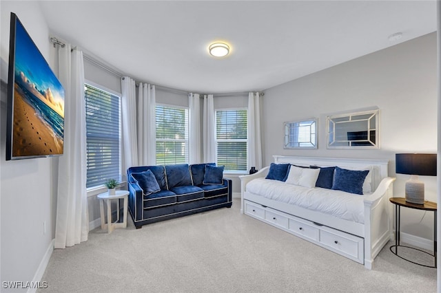 living room featuring carpet floors