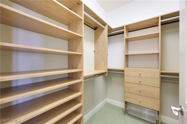 spacious closet featuring carpet