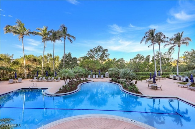 view of pool with a patio