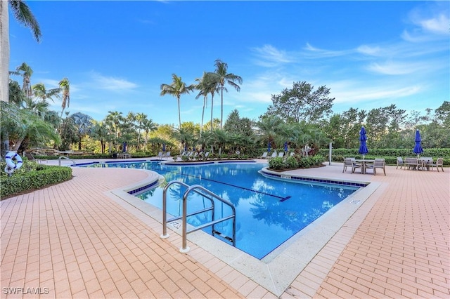 view of swimming pool featuring a patio area