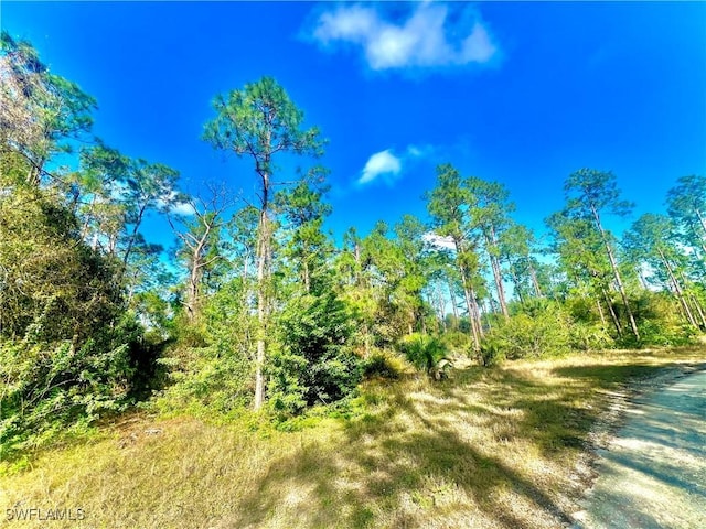 124 Nassau Ave, Lehigh Acres FL, 33974 land for sale