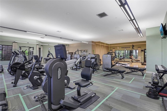 workout area with carpet