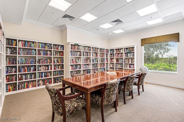 carpeted office featuring crown molding and a drop ceiling