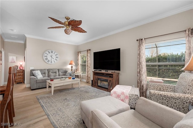 living room with crown molding, light hardwood / wood-style floors, and ceiling fan