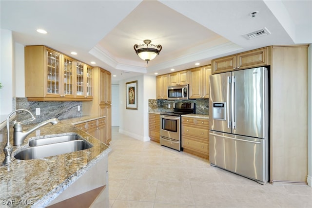 kitchen with sink, a tray ceiling, stainless steel appliances, light stone countertops, and tasteful backsplash