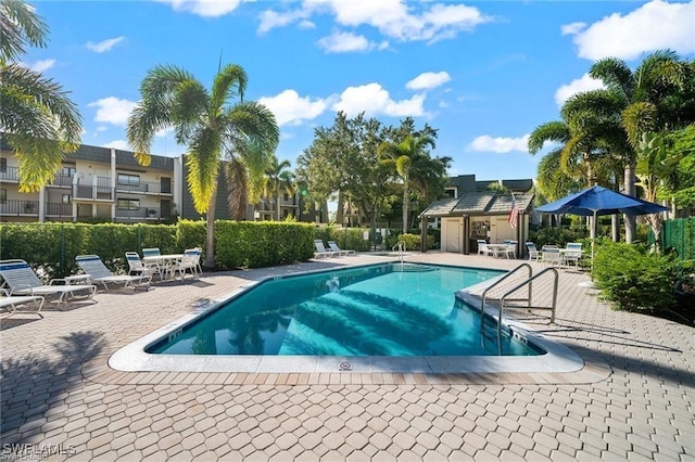 view of pool featuring a patio