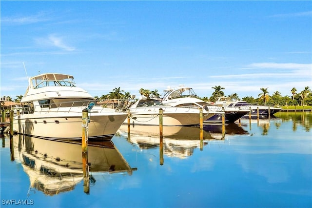 dock area with a water view