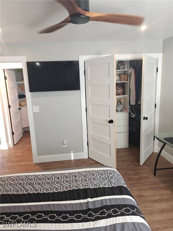 bedroom featuring hardwood / wood-style flooring, a walk in closet, a closet, and ceiling fan