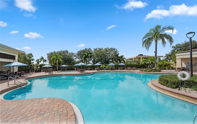 view of pool featuring a patio area