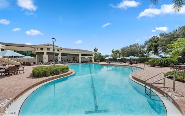 view of pool featuring a patio