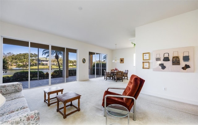 living room with carpet