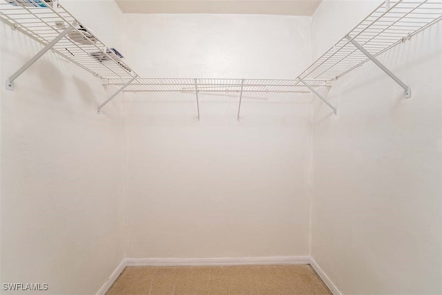 spacious closet featuring light carpet