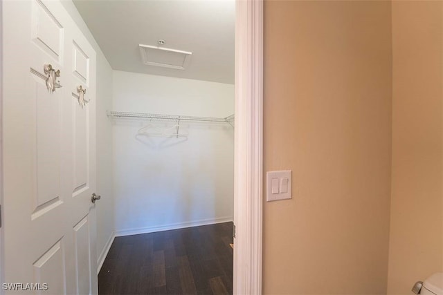 walk in closet with wood-type flooring