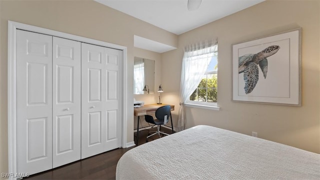 bedroom featuring ceiling fan, dark hardwood / wood-style flooring, and a closet