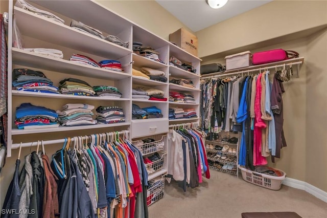 spacious closet featuring carpet floors