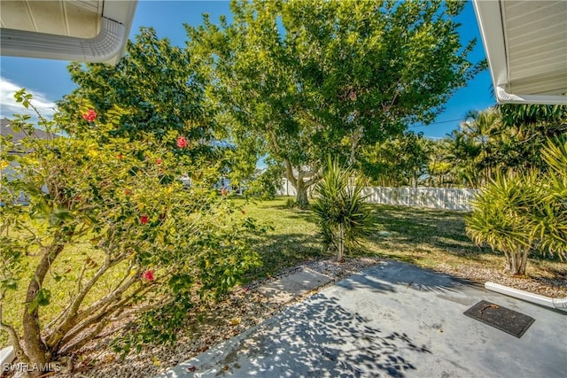 view of yard with a patio area