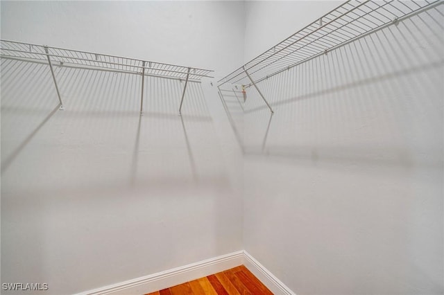 walk in closet featuring hardwood / wood-style floors