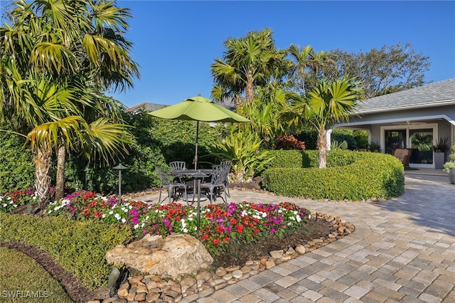 view of yard featuring a patio