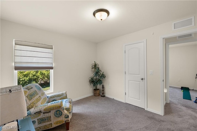 sitting room featuring carpet flooring