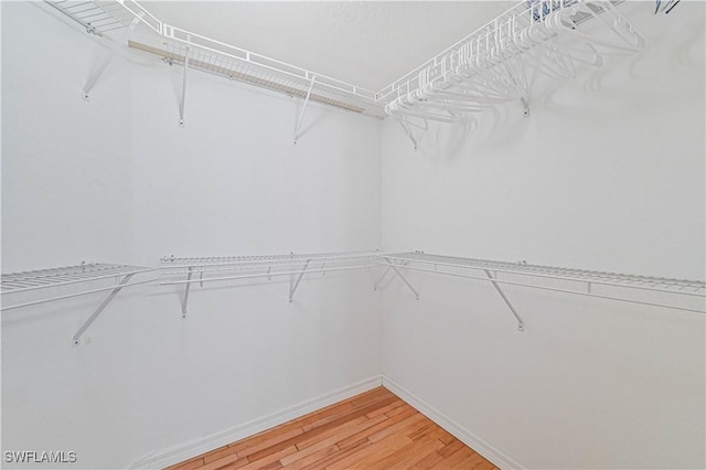 spacious closet with wood-type flooring