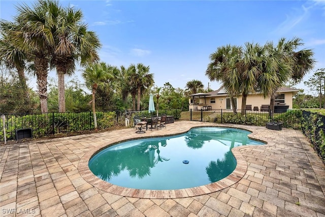 view of swimming pool with a patio area