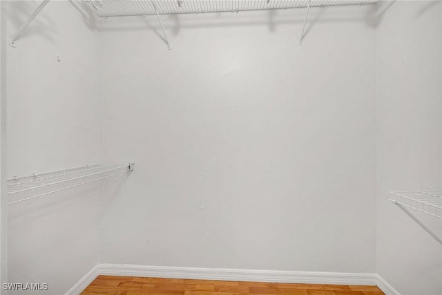 walk in closet featuring hardwood / wood-style flooring