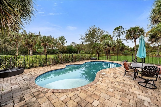 view of swimming pool with a patio