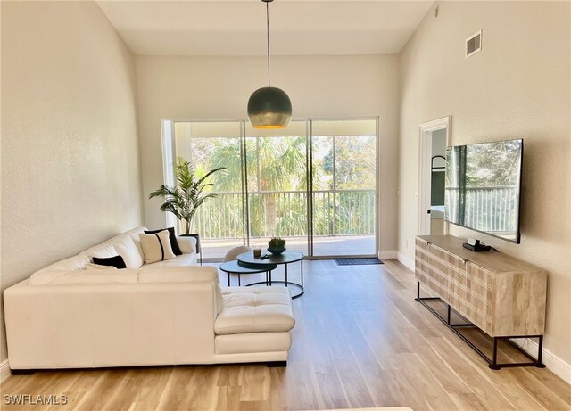 living room with light hardwood / wood-style flooring