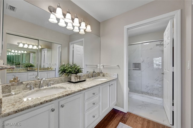 bathroom featuring vanity and walk in shower