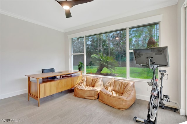 office with ornamental molding, a healthy amount of sunlight, and light hardwood / wood-style flooring