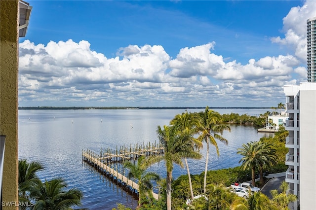 water view featuring a boat dock