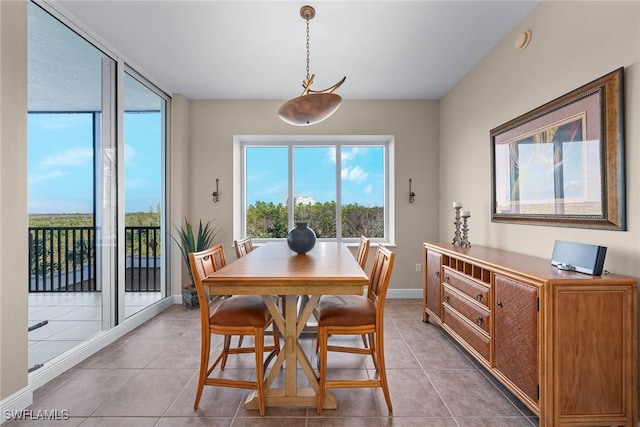 dining room with light tile patterned floors, baseboards, and a wealth of natural light