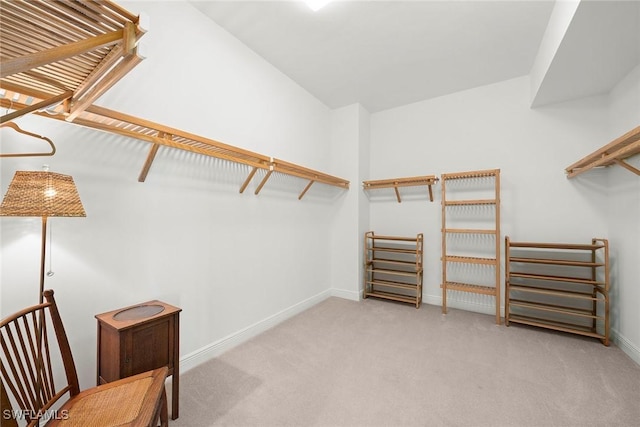 spacious closet featuring light carpet