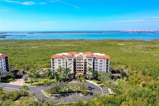 bird's eye view with a water view